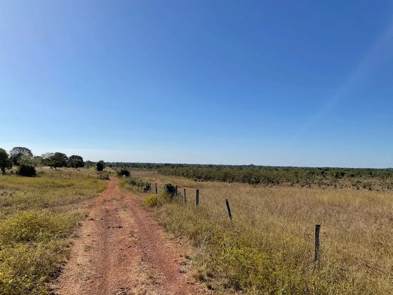 Fazenda à venda 388 alq(1.880 Ha),Formoso do Araguaia-TO,dupla aptidão: 6ª foto da galeria de imagens do imóvel
