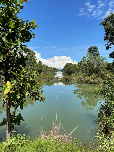 Fazenda à venda 388 alq(1.880 Ha),Formoso do Araguaia-TO,dupla aptidão: 5ª foto da galeria de imagens do imóvel