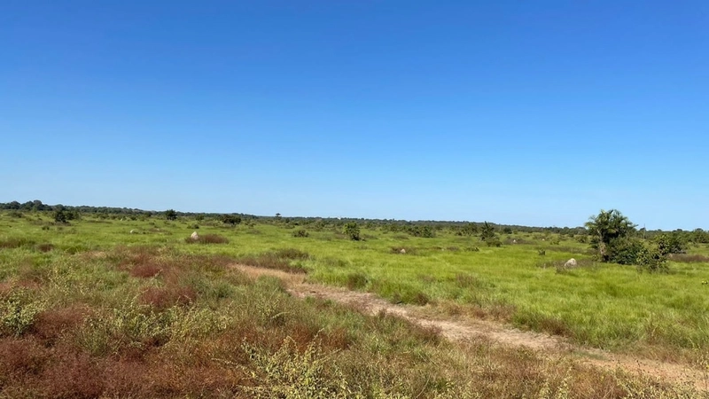Fazenda à venda 388 alq(1.880 Ha),Formoso do Araguaia-TO,dupla aptidão: 9ª foto da galeria de imagens do imóvel