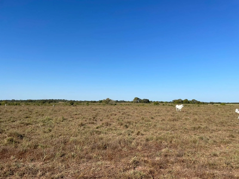 Fazenda à venda 388 alq(1.880 Ha),Formoso do Araguaia-TO,dupla aptidão: 8ª foto da galeria de imagens do imóvel