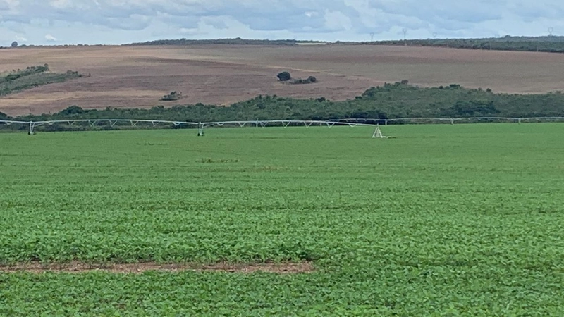 Fazenda à venda 793 Hectares (163 alq), em Cristalina-GO, para plantio: 10ª foto da galeria de imagens do imóvel