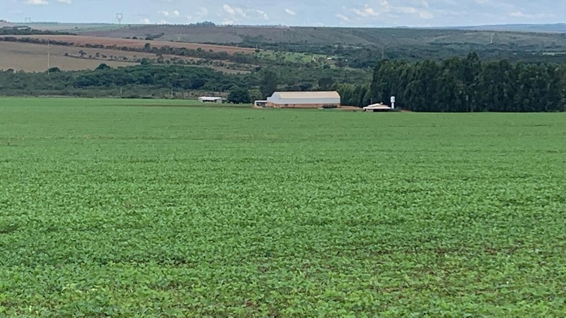 Fazenda à venda 793 Hectares (163 alq), em Cristalina-GO, para plantio: 7ª foto da galeria de imagens do imóvel