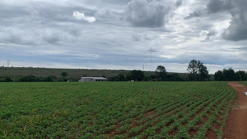 Fazenda à venda 793 Hectares (163 alq), em Cristalina-GO, para plantio: 6ª foto da galeria de imagens do imóvel