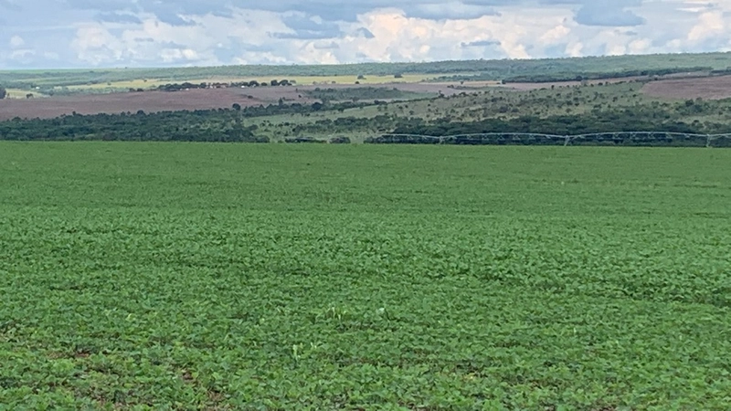 Fazenda à venda 793 Hectares (163 alq), em Cristalina-GO, para plantio: 12ª foto da galeria de imagens do imóvel