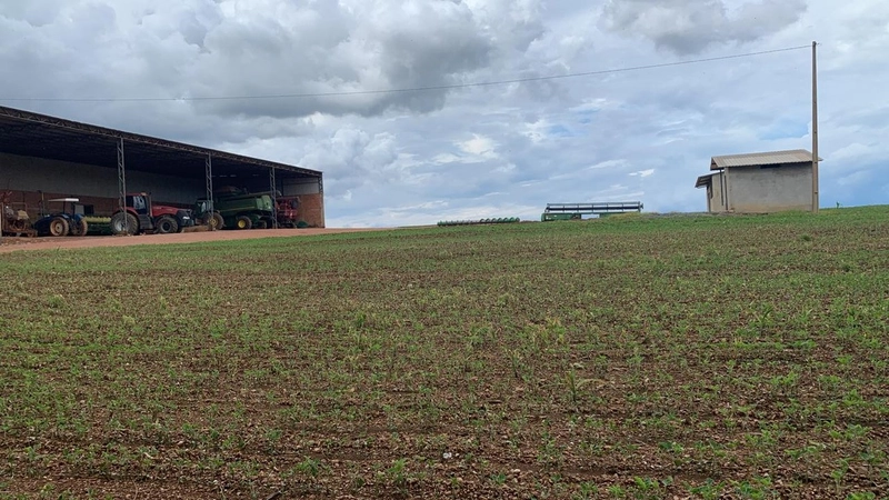 Fazenda à venda 793 Hectares (163 alq), em Cristalina-GO, para plantio: 3ª foto da galeria de imagens do imóvel