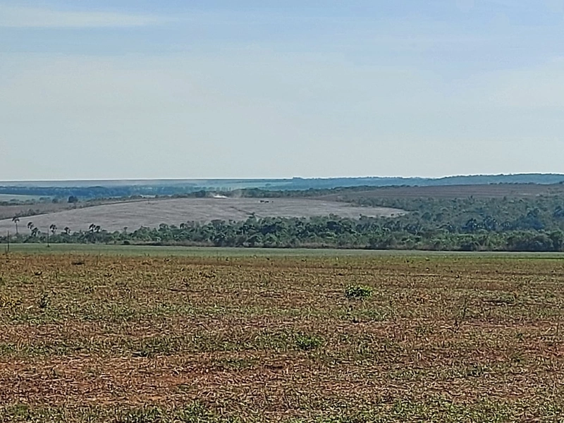 Fazenda à venda 2.306 Hectares(476 alq), em Cristalina-GO,para plantio: 18ª foto da galeria de imagens do imóvel