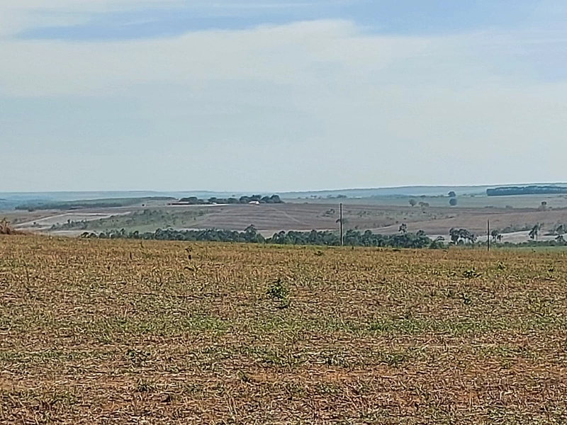 Fazenda à venda 2.306 Hectares(476 alq), em Cristalina-GO,para plantio: 17ª foto da galeria de imagens do imóvel
