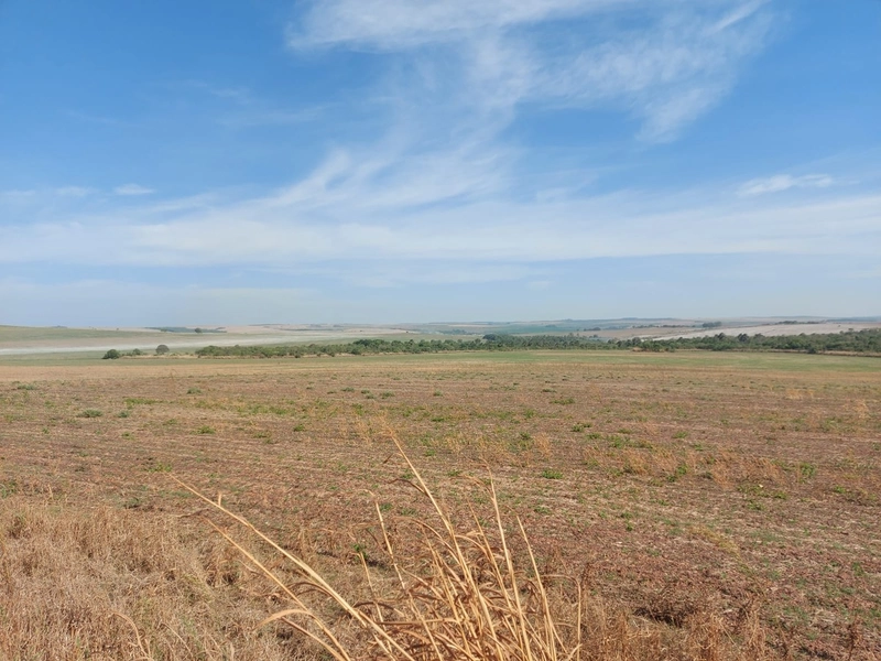 Fazenda à venda 2.306 Hectares(476 alq), em Cristalina-GO,para plantio: 8ª foto da galeria de imagens do imóvel