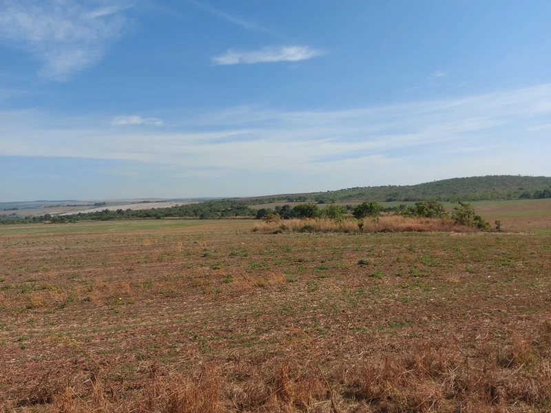 Fazenda à venda 2.306 Hectares(476 alq), em Cristalina-GO,para plantio: 21ª foto da galeria de imagens do imóvel