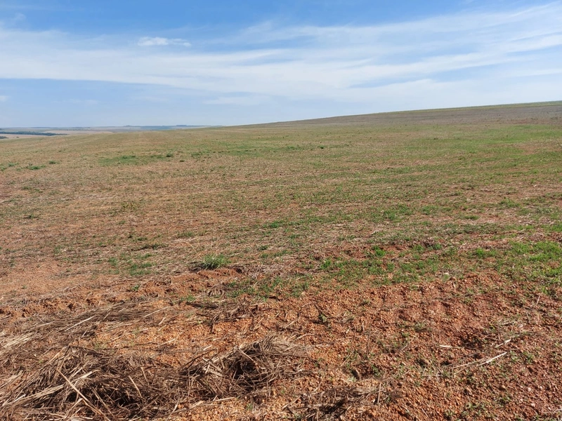 Fazenda à venda 2.306 Hectares(476 alq), em Cristalina-GO,para plantio: 10ª foto da galeria de imagens do imóvel