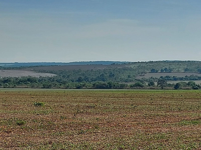 Fazenda à venda 2.306 Hectares(476 alq), em Cristalina-GO,para plantio: 19ª foto da galeria de imagens do imóvel