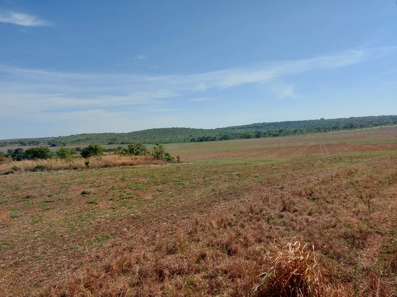 Fazenda à venda 2.306 Hectares(476 alq), em Cristalina-GO,para plantio: 22ª foto da galeria de imagens do imóvel