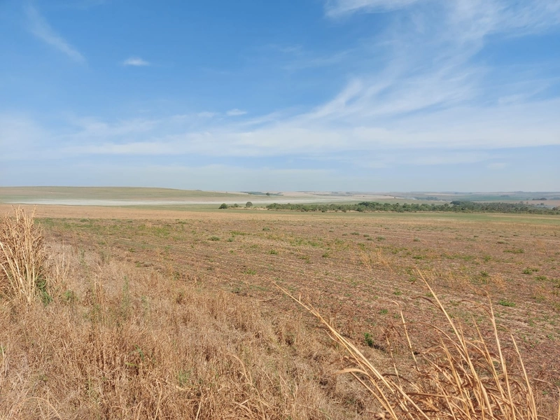 Fazenda à venda 2.306 Hectares(476 alq), em Cristalina-GO,para plantio: 9ª foto da galeria de imagens do imóvel