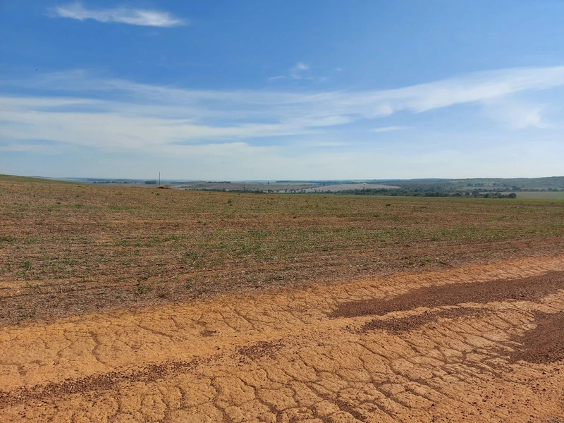 Fazenda à venda 2.306 Hectares(476 alq), em Cristalina-GO,para plantio: 13ª foto da galeria de imagens do imóvel