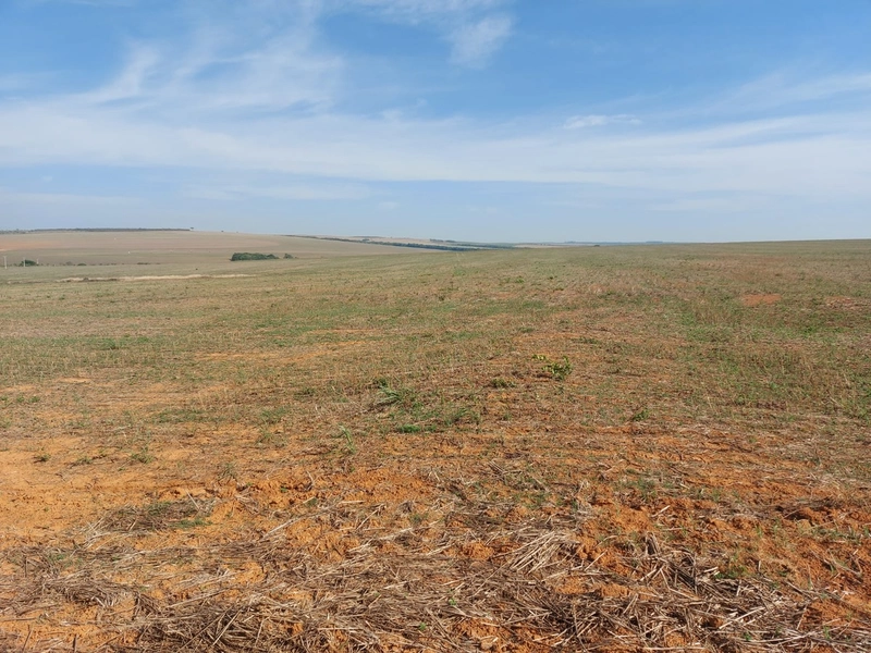 Fazenda à venda 2.306 Hectares(476 alq), em Cristalina-GO,para plantio: 2ª foto da galeria de imagens do imóvel