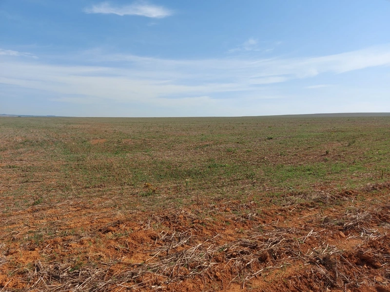 Fazenda à venda 2.306 Hectares(476 alq), em Cristalina-GO,para plantio: 12ª foto da galeria de imagens do imóvel
