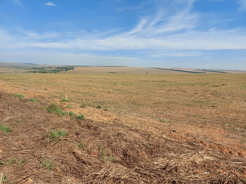 Fazenda à venda 2.306 Hectares(476 alq), em Cristalina-GO,para plantio: 15ª foto da galeria de imagens do imóvel