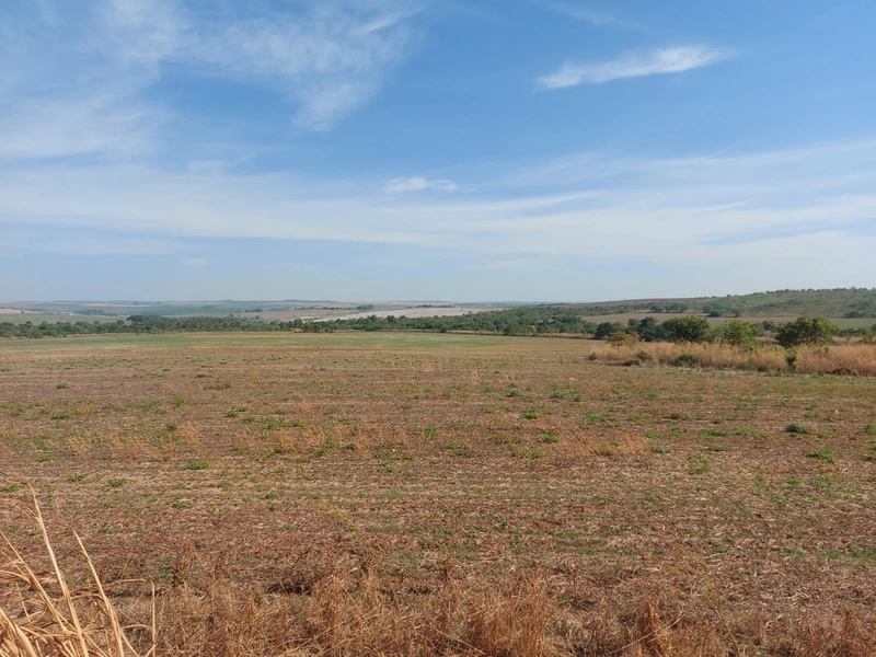 Fazenda à venda 2.306 Hectares(476 alq), em Cristalina-GO,para plantio: 20ª foto da galeria de imagens do imóvel
