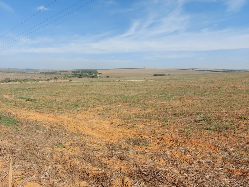 Fazenda à venda 2.306 Hectares(476 alq), em Cristalina-GO,para plantio: 4ª foto da galeria de imagens do imóvel