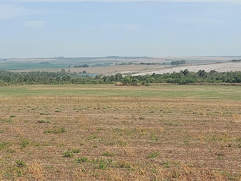 Fazenda à venda 2.306 Hectares(476 alq), em Cristalina-GO,para plantio: 23ª foto da galeria de imagens do imóvel