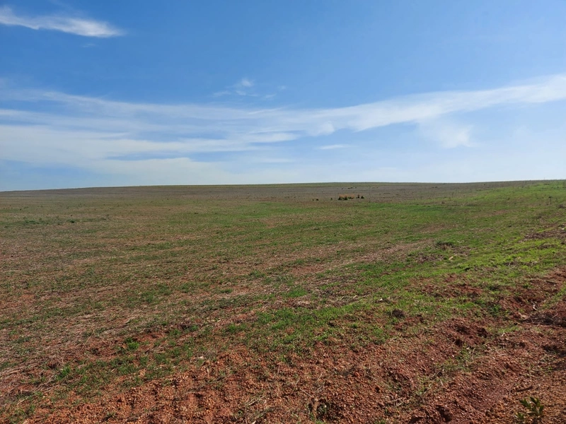 Fazenda à venda 2.306 Hectares(476 alq), em Cristalina-GO,para plantio: 3ª foto da galeria de imagens do imóvel