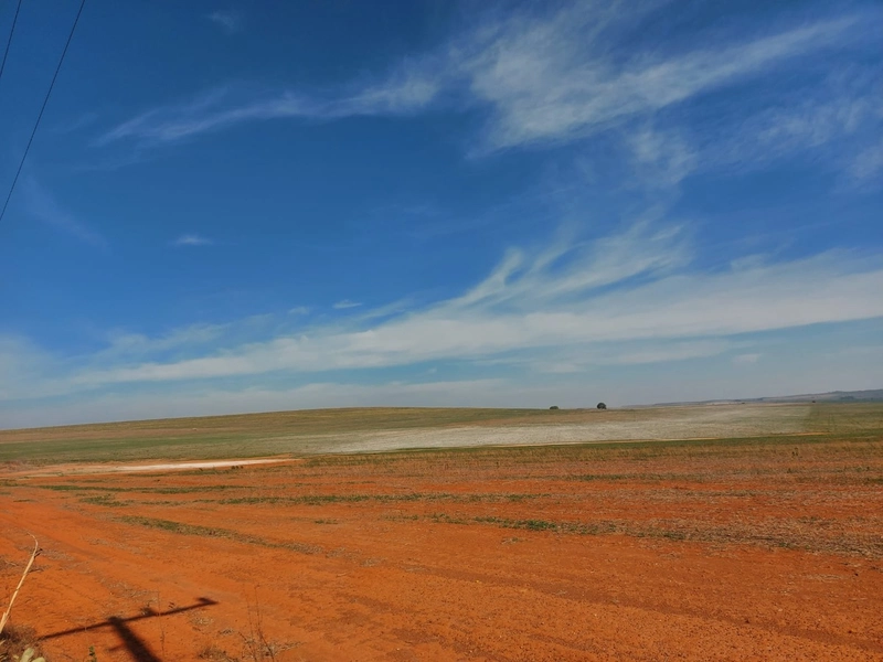 Fazenda à venda 2.306 Hectares(476 alq), em Cristalina-GO,para plantio: 7ª foto da galeria de imagens do imóvel