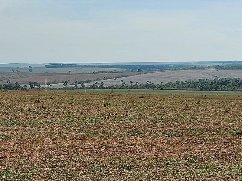 Fazenda à venda 2.306 Hectares(476 alq), em Cristalina-GO,para plantio: 5ª foto da galeria de imagens do imóvel