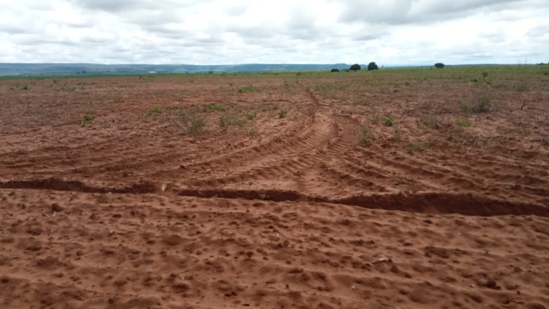 Fazenda 3.000 Hectares (619 alq), em João Pinheiro-MG, dupla aptidão.: 2ª foto da galeria de imagens do imóvel