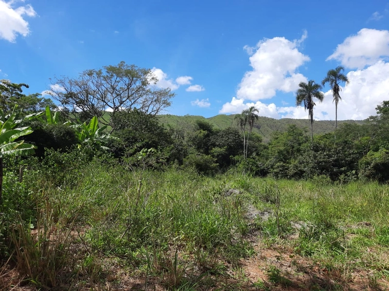 Fazenda de 26,6 alqueires (128,84 Ha), há 55 km do DF, com trator: 5ª foto da galeria de imagens do imóvel