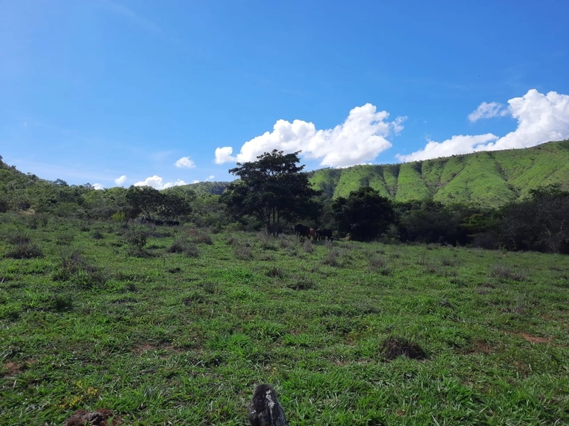 Fazenda de 26,6 alqueires (128,84 Ha), há 55 km do DF, com trator: 2ª foto da galeria de imagens do imóvel