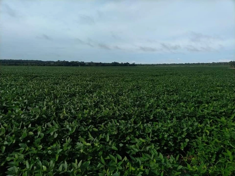 Fazenda à venda 4.739 hectares (979 alq), em Caseara-TO, para soja: 1ª foto da galeria de imagens do imóvel
