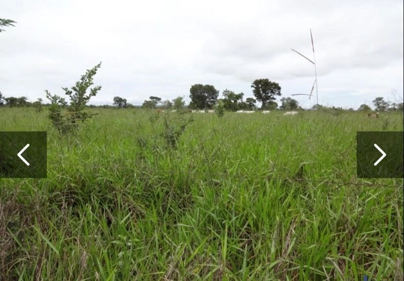 Fazenda à venda 4.650 hectares (960 alq), em Arinos-MG, dupla aptidão.: 1ª foto da galeria de imagens do imóvel