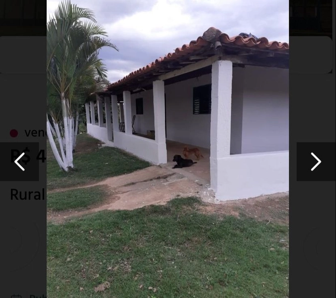 Fazenda à venda 4.650 hectares (960 alq), em Arinos-MG, dupla aptidão.: 4ª foto da galeria de imagens do imóvel