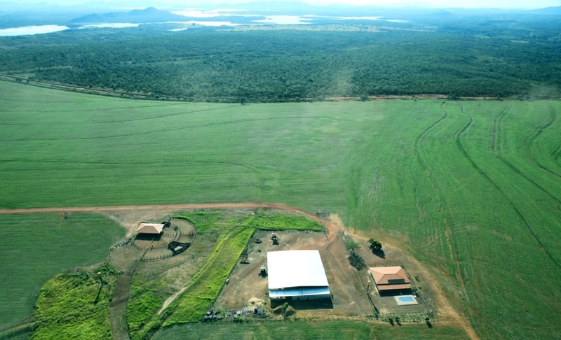 Fazenda 1.887 hectares (389 alq), em Niquelândia-GO, dupla aptidão.: 3ª foto da galeria de imagens do imóvel