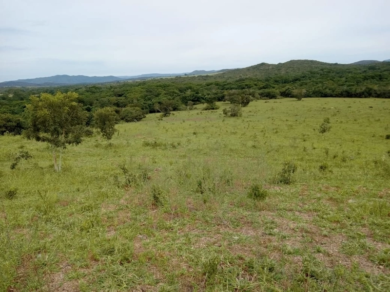 Fazenda à venda de 314 alqueires (1.519 ha), em Padre Bernardo-GO: 8ª foto da galeria de imagens do imóvel