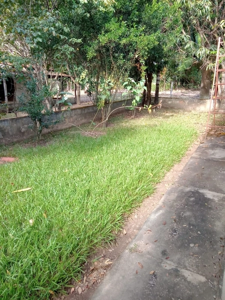 Fazenda à venda de 314 alqueires (1.519 ha), em Padre Bernardo-GO: 24ª foto da galeria de imagens do imóvel