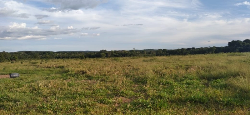 Fazenda à venda de 314 alqueires (1.519 ha), em Padre Bernardo-GO: 6ª foto da galeria de imagens do imóvel