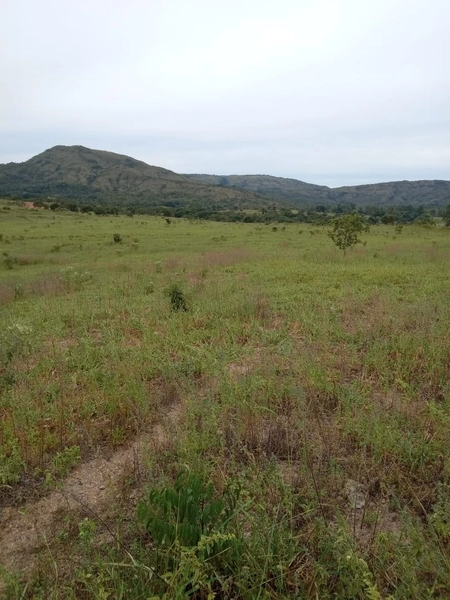 Fazenda à venda de 314 alqueires (1.519 ha), em Padre Bernardo-GO: 7ª foto da galeria de imagens do imóvel