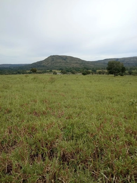Fazenda à venda de 314 alqueires (1.519 ha), em Padre Bernardo-GO: 16ª foto da galeria de imagens do imóvel