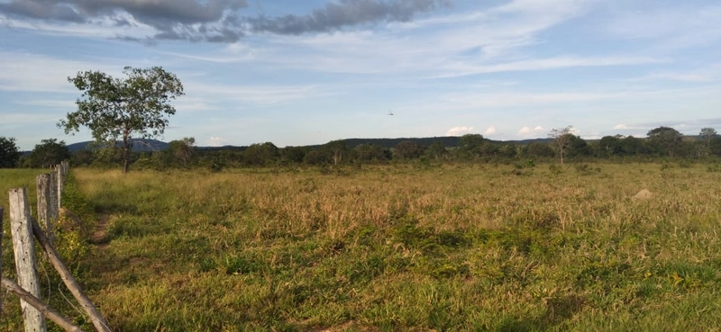 Fazenda à venda de 314 alqueires (1.519 ha), em Padre Bernardo-GO: 2ª foto da galeria de imagens do imóvel