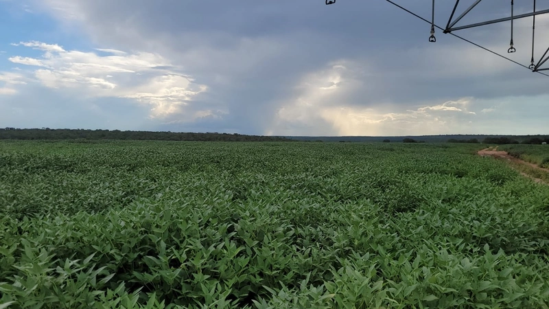 Fazenda à venda para SOJA, em URUCUIA-MG.: 7ª foto da galeria de imagens do imóvel