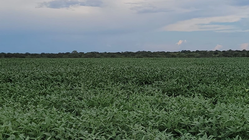 Fazenda à venda para SOJA, em URUCUIA-MG.: 16ª foto da galeria de imagens do imóvel