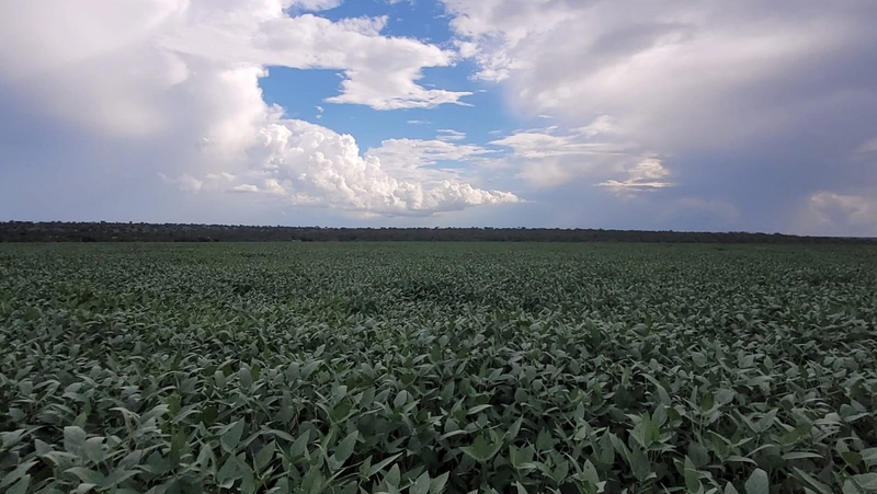 Fazenda à venda para SOJA, em URUCUIA-MG.: 1ª foto da galeria de imagens do imóvel