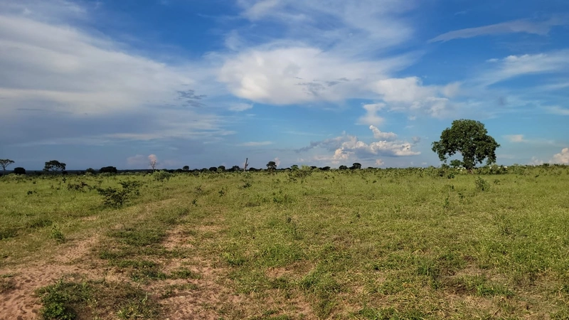 Fazenda à venda para SOJA, em URUCUIA-MG.: 24ª foto da galeria de imagens do imóvel