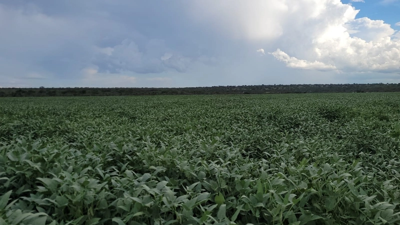 Fazenda à venda para SOJA, em URUCUIA-MG.: 10ª foto da galeria de imagens do imóvel
