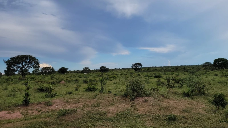 Fazenda à venda para SOJA, em URUCUIA-MG.: 15ª foto da galeria de imagens do imóvel