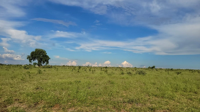 Fazenda à venda para SOJA, em URUCUIA-MG.: 22ª foto da galeria de imagens do imóvel