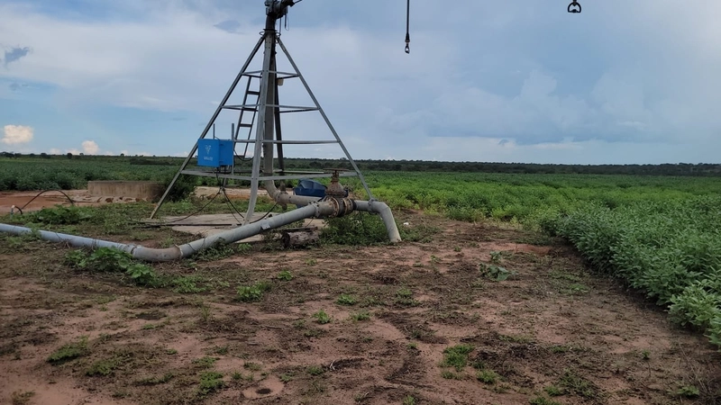 Fazenda à venda para SOJA, em URUCUIA-MG.: 3ª foto da galeria de imagens do imóvel