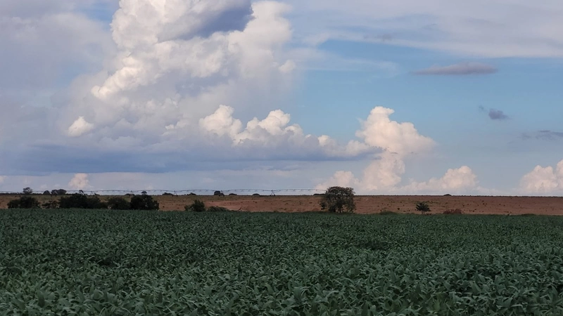 Fazenda à venda para SOJA, em URUCUIA-MG.: 14ª foto da galeria de imagens do imóvel