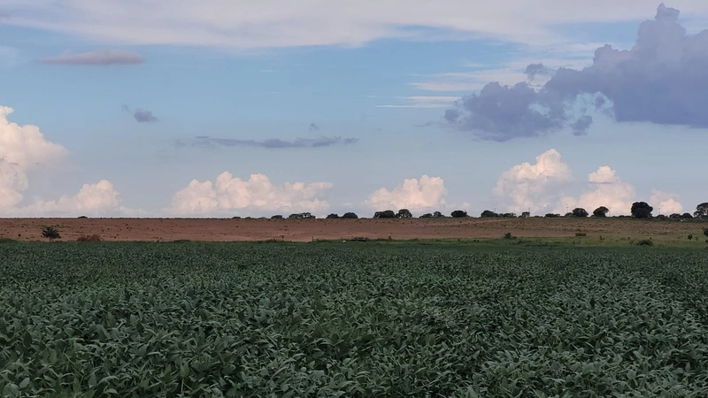 Fazenda à venda para SOJA, em URUCUIA-MG.: 13ª foto da galeria de imagens do imóvel